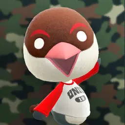 Pec