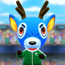 Nacer