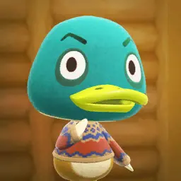 Colvert