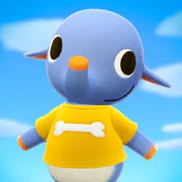 Pachy