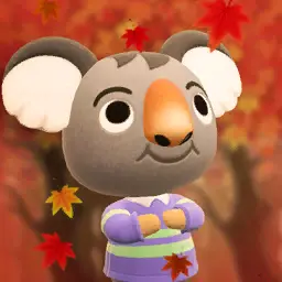 Koko